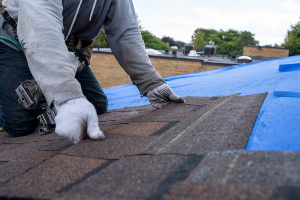 Professional Roofing Contractor in Prairie Du Chien, WI