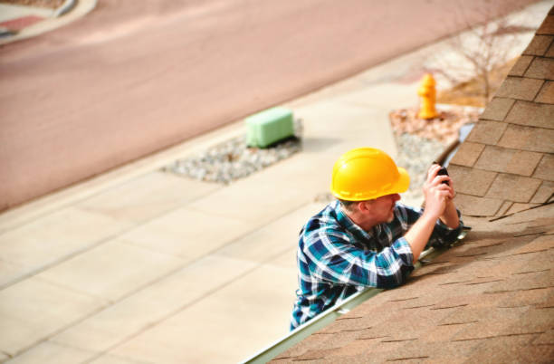 Best Roof Gutter Cleaning  in Prairie Du Chien, WI