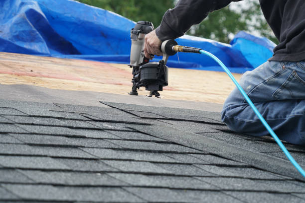 Best Roof Repair Services  in Prairie Du Chien, WI