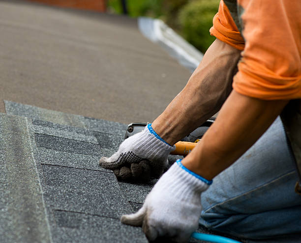 Best Local Roofing Companies  in Prairie Du Chien, WI