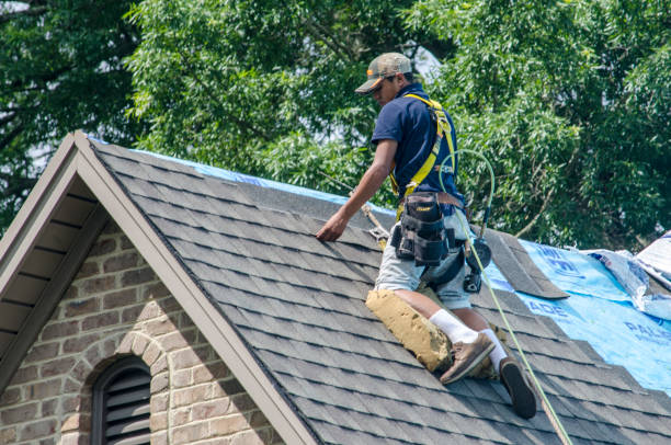Best Roof Maintenance Services  in Prairie Du Chien, WI